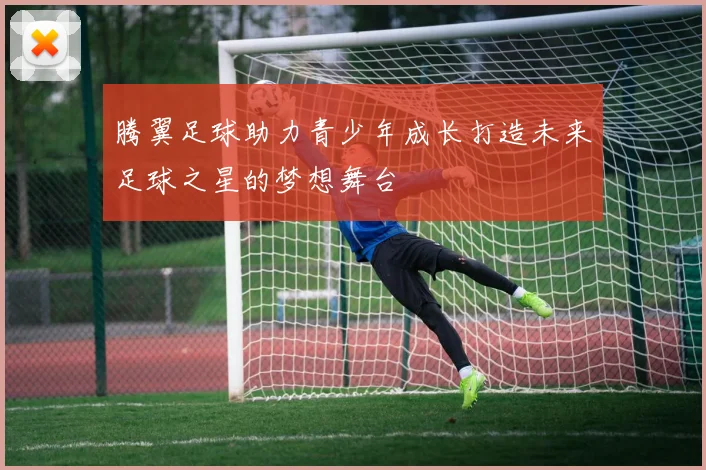 腾翼足球助力青少年成长打造未来足球之星的梦想舞台